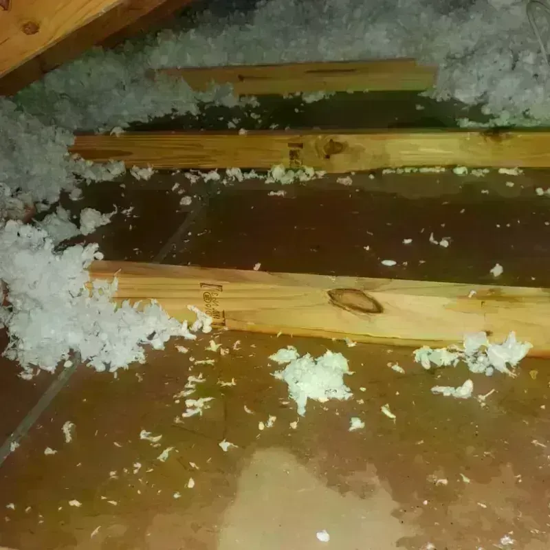 Attic Water Damage in Phoenix, OR