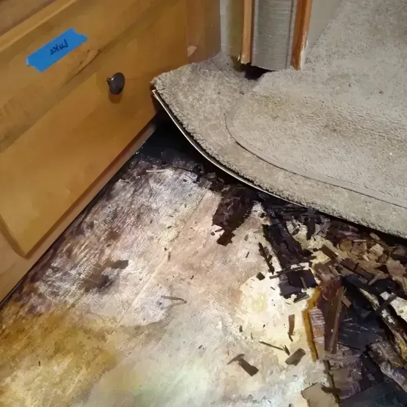 Wood Floor Water Damage in Phoenix, OR